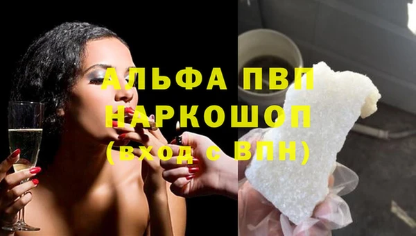 тгк Алзамай