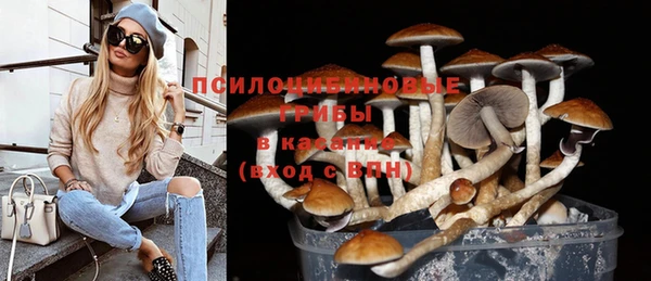 тгк Алзамай