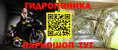 бошки Можга