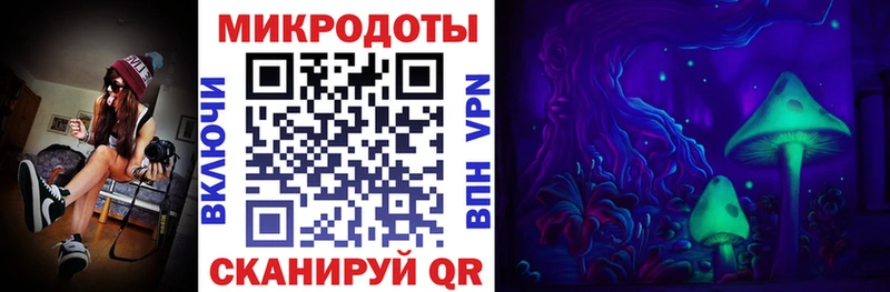 Галлюциногенные грибы Psilocybe  Владимир 