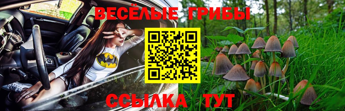 Владимир  Псилоцибиновые грибы GOLDEN TEACHER  Вход с VPN 
