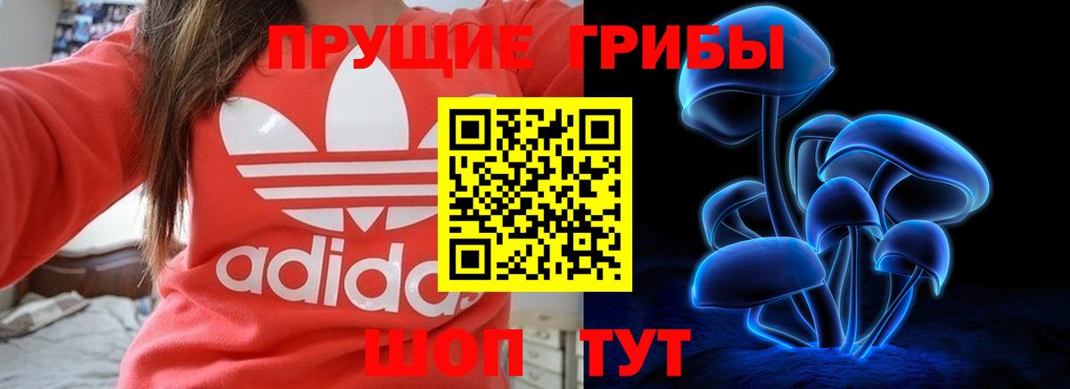 Галлюциногенные грибы Magic Shrooms Владимир