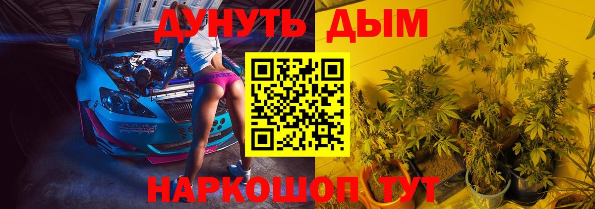 Канабис ГИДРОПОН Владимир