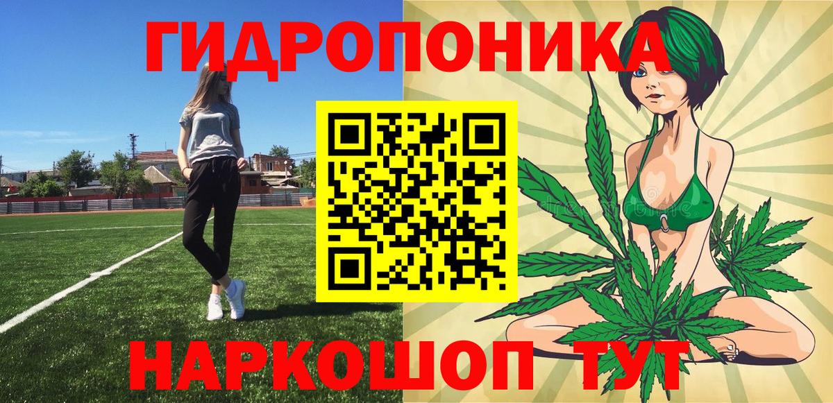 Конопля SATIVA & INDICA  Бошки марихуана OG Kush  Вход с VPN  Владимир  Канабис конопля 
